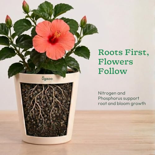 Image of Ugaoo Bio DAP Fertilizer for Plants 500g | Organic Slow-Release Granules with Soil Microbes | Flowering & Root Growth Booster | NPK Plant Food for Rose, Hibiscus, Tomato & Home Garden Plants
