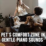 Ambient Ambience