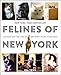 Produktbild Felines of New York: A Glimpse Into the Lives of New York's Feline Inhabitants