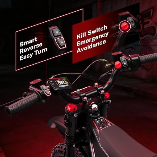 Heybike Peak 4160W E-Dirt Bike