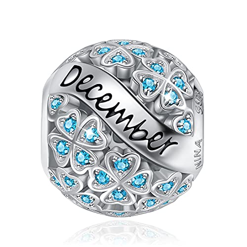 NINAQUEEN Colgante de Piedra de Nacimiento de Diciembre Para Pulsera/Collar S925 Colgante con Trébol de Cuatro Hojas Día de la Madre Para Ella Joyería Caja de Joyas regalo del dia de la madre Cover