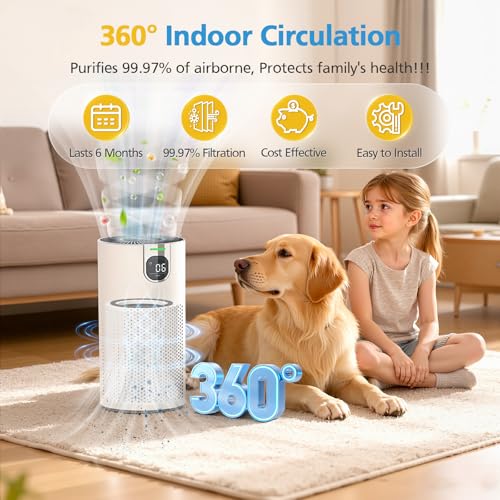 Image of HAP606 Replacement Filter Compatible with XenonLab VisionAir HAP606 Air Purifier, FreAire HAP606 & ECOSELF HAP609, 3-Stage HEPA Activated Carbon, HAP606 Air Filter for Home Room Smoke, Dust, Odors