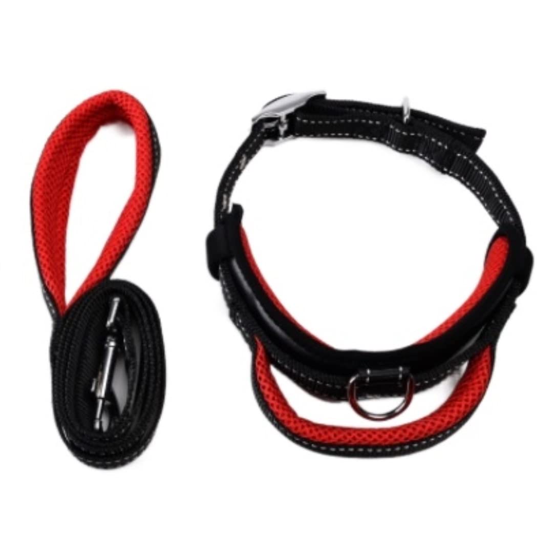 Correa Perro Correr Collar De Nailon para Perros Y Mascotas, Correas Entrenamiento Ajustables, Collares Seguridad para Pequeños Medianos Antideslizantes Reforzada(Rot,2.5cm*120cm)