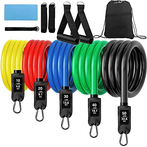 Resistance Bands, Exercise Bands with Door Anchor, Resistance Bands for Working Out, Work Out Bands with Handles for Men and Women, Resistance Training, Physical Therapy, Shape Body, Yoga, Workout Set