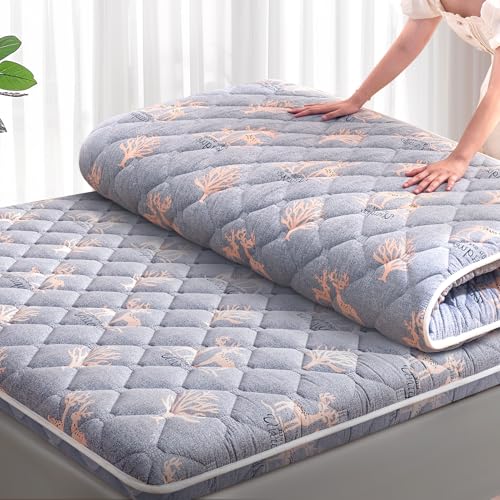 Lillibearas Premium Foam Queen Mattress Topper -Thick 9-Layer Modern Comfort Topper, 60-mil Foam-Back Pain Relief & Comfort Support,Breathable & Hypoallergenic
