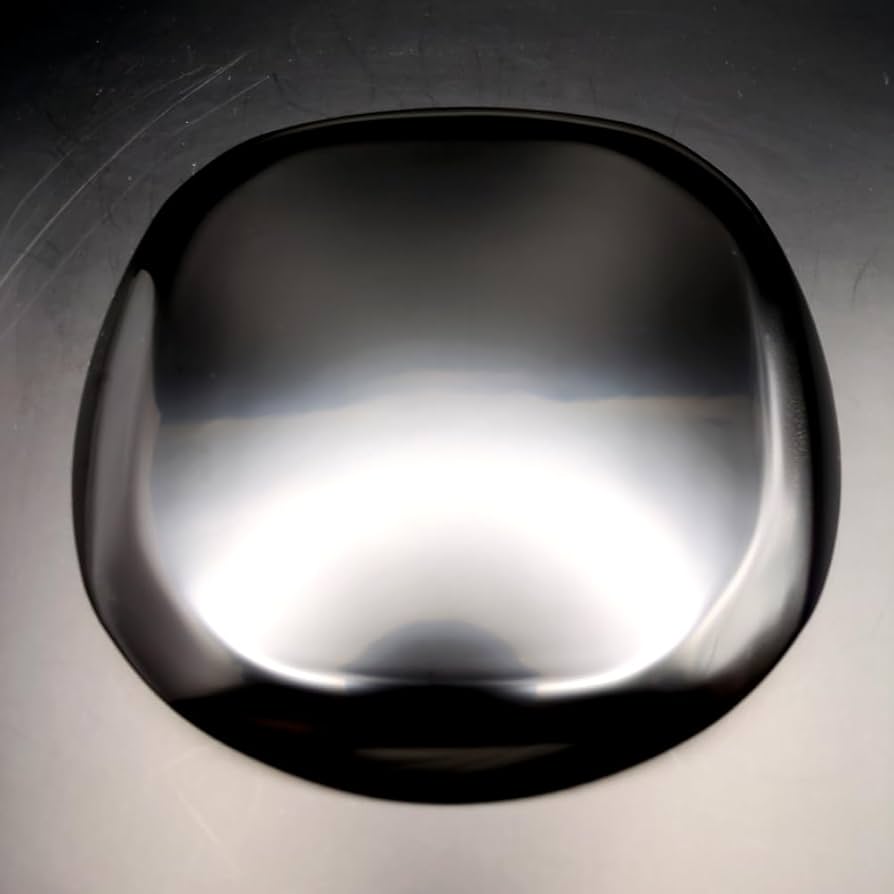 未使用 美品 五島屋謹製 輪島塗 高級漆器 富貴長命 銘々皿 5枚セット 共箱付 Amazon.co.jp: 五島屋謹製 輪島塗 高級漆器 富貴長命 銘々皿 5枚