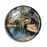 Crystal Fridge Magnets Omaha...