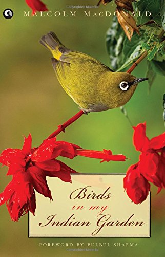 BIRDS IN MY INDIAN GARDEN