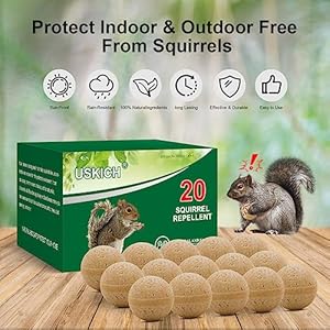 20Pack-Squirrel-Repellent-Outdoor-Chipmunk-Repellent-OutdoorRodent-RepellentSquirrel-Repellent-for-Attic-and-Cars-Engines-Ultra-Powerful-Squirrel-Deterrent-Keep-Squirrels-Out-of-Garden - Cucciolini Doodles   20Pack-Squirrel-Repellent-Outdoor-Chipmunk-Repellent-OutdoorRodent-RepellentSquirrel-Repellent-for-Attic-and-Cars-Engines-Ultra-Powerful-Squirrel-Deterrent-Keep-Squirrels-Out-of-Garden