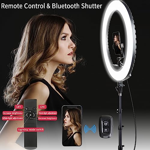 EOTO LIGHT 21-Inch Ring Light