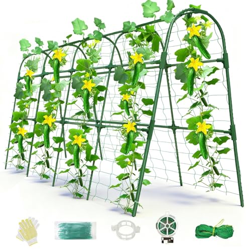 Laodier Cucumber Trellis for Raised Bed, U-Shape Garden Arch Metal Support for Climbing Plants, Metal Arch Plant Support Vegetables Trellis, Plant Support for Vine(Green, 63 * 30 * 47inch(L*W*H)) by Laodier - Used condition - US$29.86