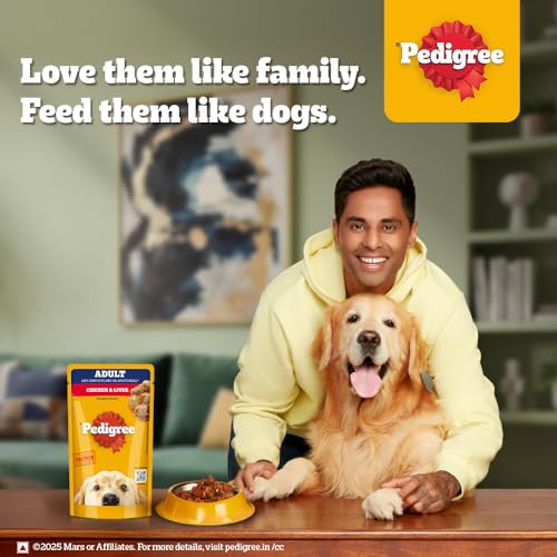 Image of Pedigree Adult Wet Dog Food, Chicken & Liver Chunks in Gravy, 130 g (Pack of 48), Complete & Balanced Meal for Adult Dogs