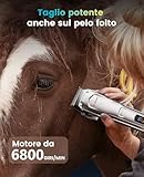 Zoom IMG-2 oneisall tosatrice silenziosa senza fili Zoom IMG-2 oneisall tosatrice silenziosa senza fili