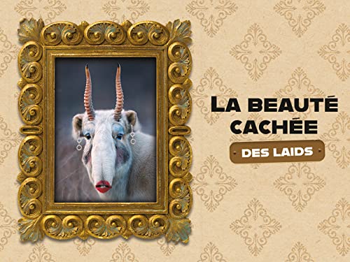 La beauté cachée des laids