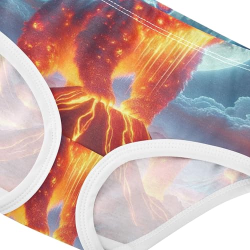 Toddler Girls Underwear 2t Cotton Girl Panties Cute Florals Undies Kids Briefs Volcanic Bear Moonlight4