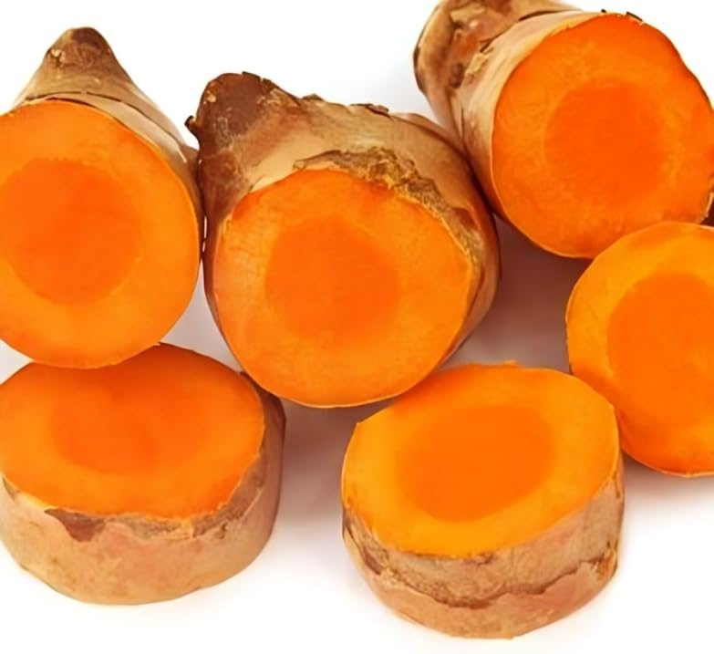Raw Turmeric | Turmeric Root | Kachi Haldi fresh | Taaja Pasupu | कच्ची हल्दी | Natural and export quality, Bengal origin (250 gm), Organically grown, Produced and sorted by our own farmers (B0CSX75GL8) Amazon Price History, Amazon Price Tracker