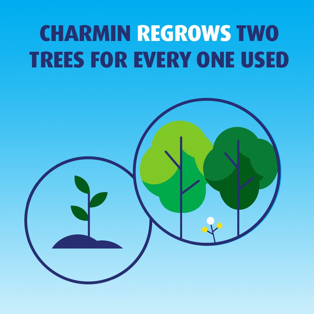 Charmin Essentials Strong Toilet Paper, 9 Mega Rolls = 36 Regular Rolls - Image 9