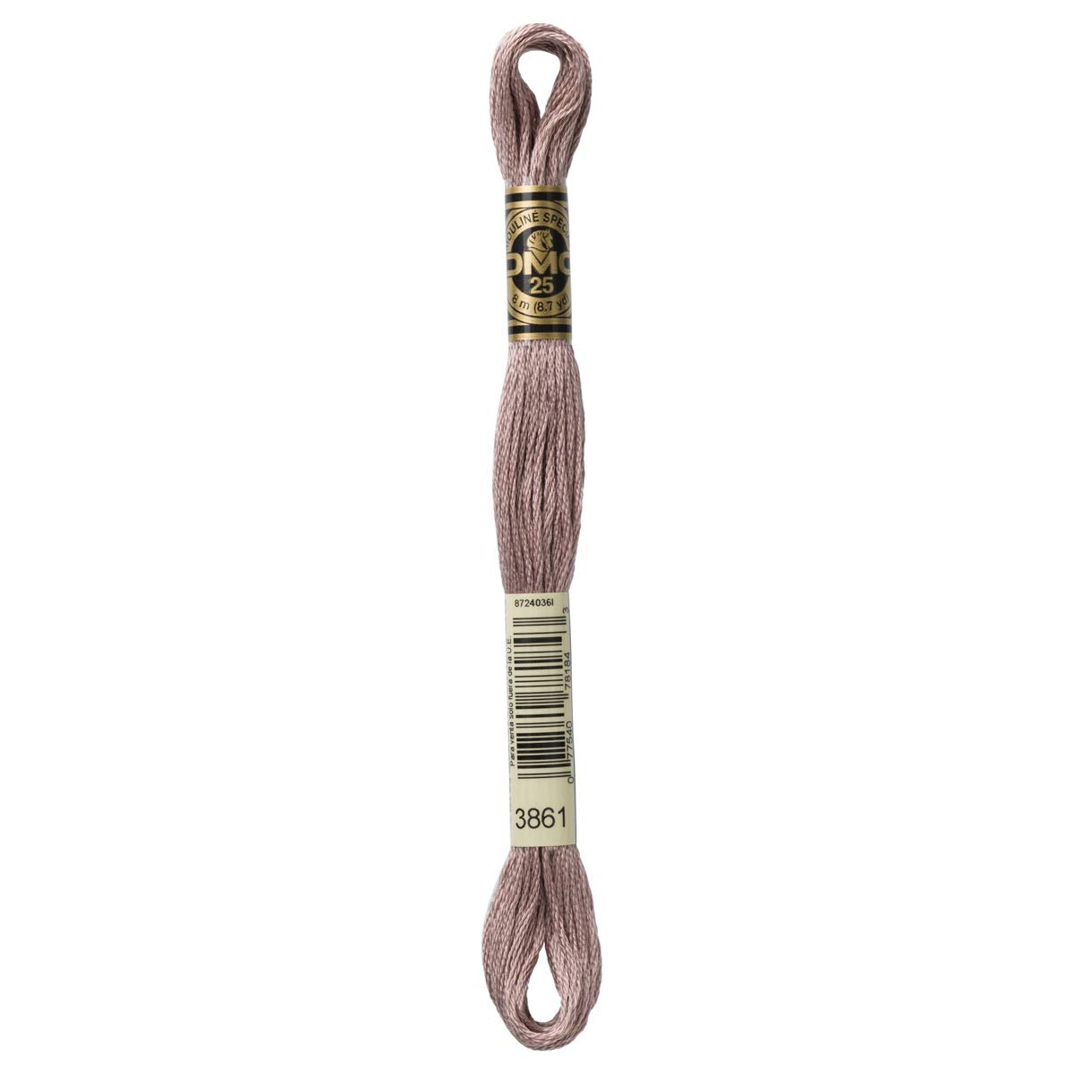 DMC Embroidery Floss Mouline Stranded Cotton Thread for Hand Embroidery and Sewing - Colour No: 3861-6 x 8m Skeins โ image 1