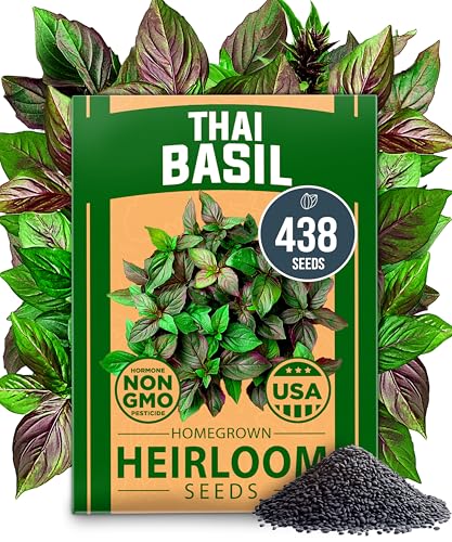 Image of HOME GROWN Thai Basil Seeds Pack - 438 High Germination Heirloom Herb Seeds for Planting,Ideal for Growing Fresh Basil Planting Indoor or Outdoor(Ocimum basilicum VAR.thyrsiflora)