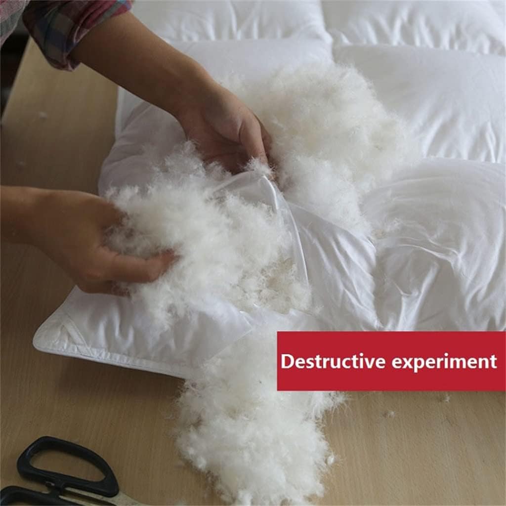 White Goose Down Filler/Filling Queen Size Cotton Thickening and Warming Four Seasons Comforter