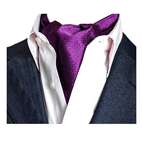 YCHENG Pañuelo Hombre Jacquard Ascot Corbatas Vintage Cravat Chalina para Banquete Fiesta C04