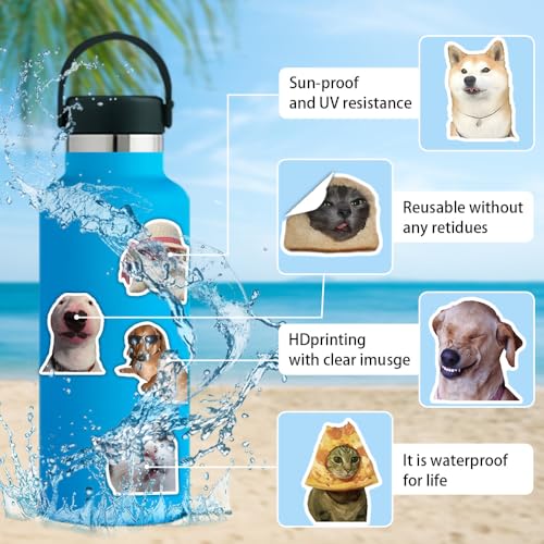 Image of 300 Pcs Funny Cat and Dog Meme Stickers Pack, Realistic Pet Vinyl Stickers for Teens Adults, Waterproof Decals for Laptop, Water Bottle, Phone, Scrapbook