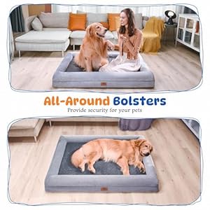 Extra-Large-Dog-Bed-Orthopedic-Washable-XL-Dog-Bed-with-Waterproof-Removable-Cover-Dog-Beds-for-Extra-Large-Dogs-with-Non-Slip-Bottom-Memory-Foam-Pet-Couch-Sofa-Grey-42-x-30 - Cucciolini Doodles   Extra-Large-Dog-Bed-Orthopedic-Washable-XL-Dog-Bed-with-Waterproof-Removable-Cover-Dog-Beds-for-Extra-Large-Dogs-with-Non-Slip-Bottom-Memory-Foam-Pet-Couch-Sofa-Grey-42-x-30