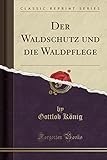 Der Waldschutz Und Die Waldpflege (Classic Reprint)