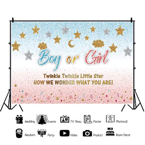 YongFoto 10x65ft Twinkle Twinkle Little Star Backdrop Baby Gender Reveal Boy or Girl Photography Background Newborn Party