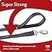 Dog Leash for Medium, Large and Small Dogs - 6 Foot Dog Leashes for Training and Daily Walks - Durable Sizes in Lightweight and Heavy Duty for Small and Large Breeds (2-Layer Reflective, Black)