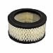 OEM Air Filter Element for Models SS5 & 2475