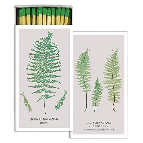 HomArt Large Decorative Ferns Crest Candle and Fireplace Wood Matches (Set of 2)