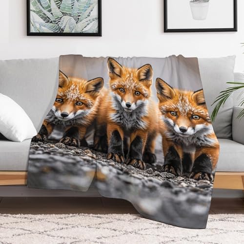 Plaid renard en flanelle légère idéal pour vos soirées canapé et pique-nique