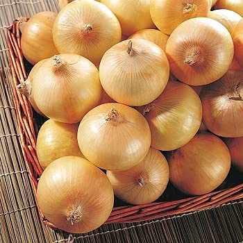 Golden Hills Farm Sweet Yellow Spanish Onion Kitchen Garden Pack Vegetable 300+ seeds (B096WCWD66) Amazon Price History, Amazon Price Tracker