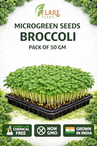 Image of Broccoli Microgreen Seeds, Non-GMO Chemical Free, 50 GM Pack, Rich in Sulforaphane, Vitamins A C K, Fiber, Grown in India
