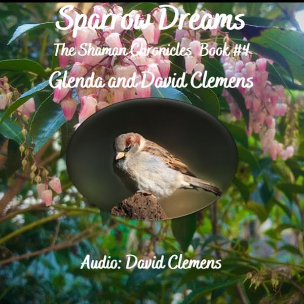 Cover art for Sparrow Dreams
