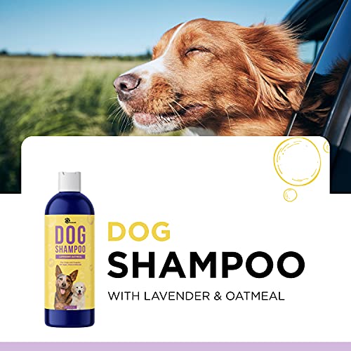 Cleansing Dog Shampoo for Smelly Dogs Refreshing Colloidal Oatmeal