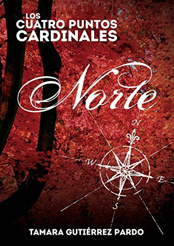 Los Cuatro Puntos Cardinales. Norte (1ª novela de la saga) (Spanish Edition)