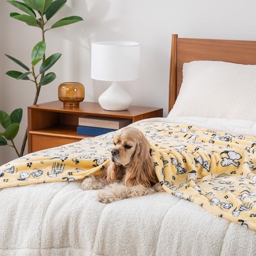 Image of Berkshire Blanket Peanuts VelvetLoft Cute Character Snoopy Plush Throw Blanket,Peanuts Poses and Paws Sundress,Throw 55 in x 70 in (Official Peanuts Product)