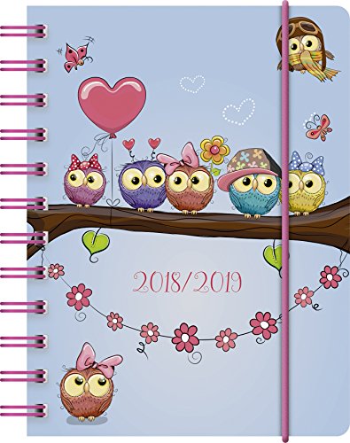 Télécharger Brunnen 1072915039 Eule Agenda scolaire 2018/2019 Gratuit