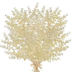 Eucalyptus - Soft Cream