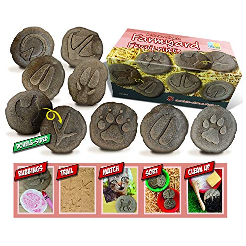 Yellow Door YUS1065 Let's Investigate Farmyard Footprints Stone (Pack of 8)