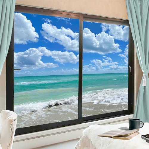 Película Decorativa Escarchada para Ventana 31.5x47.2 in x2 miniatura 1