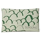 SoYoung Ice Pack - Reusable Soft Ice Pack for Lunch Boxes, Lunch Bags & Coolers, Aesthetic Design, Long Lasting, Lightweight, Condensation Free - Dino Scales