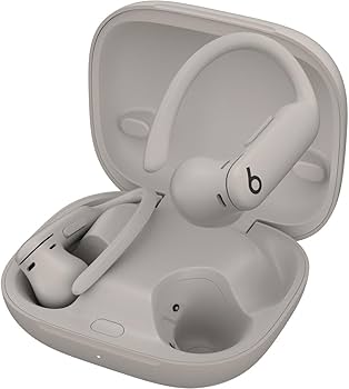 Amazon.com: Beats by Dr. Dre Powerbeats Pro 2 Wireless Noise