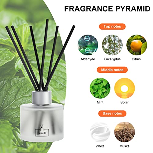 Brakula Eucalyptus & Mint Reed Diffuser Set, Home Fragrance Oil Diffuser With 8 Sticks For Room Decor, 3.4 Oz/100 Ml #TOP1