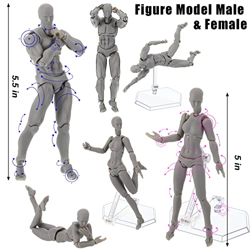 2 Sets Of Action Figures Body Kun Pvc Figure Model Dolls Male And Female Drawing Mannequin Human Toy Doll Model Figure Grey Art Posable Figures #TOP1