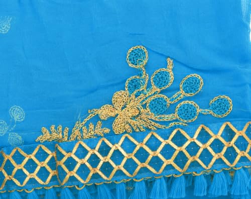 Image of YOUTHQUAKE Heavy Embroidered Work Chiffon Dupatta for Womens & Girls With Fancy Lace