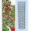 Baldur Garden Climbing Strawberry 'Hummi' and Decorative Ranturm, 1 Set