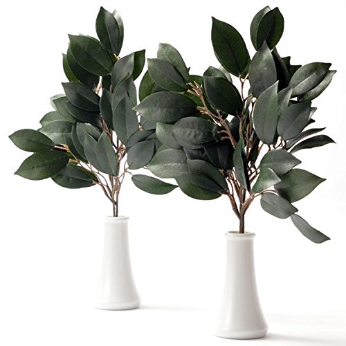 uhFy_IEՒdɕ֗FEVNt[iԁjP΁i2{jz_ Վ _l _D D D